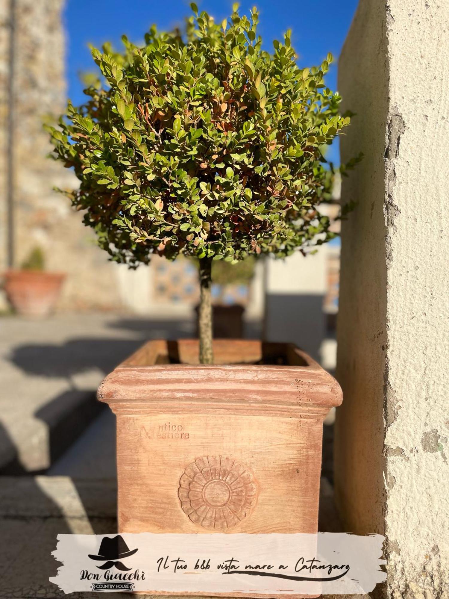 Don Giacchi Country House Catanzaro Extérieur photo