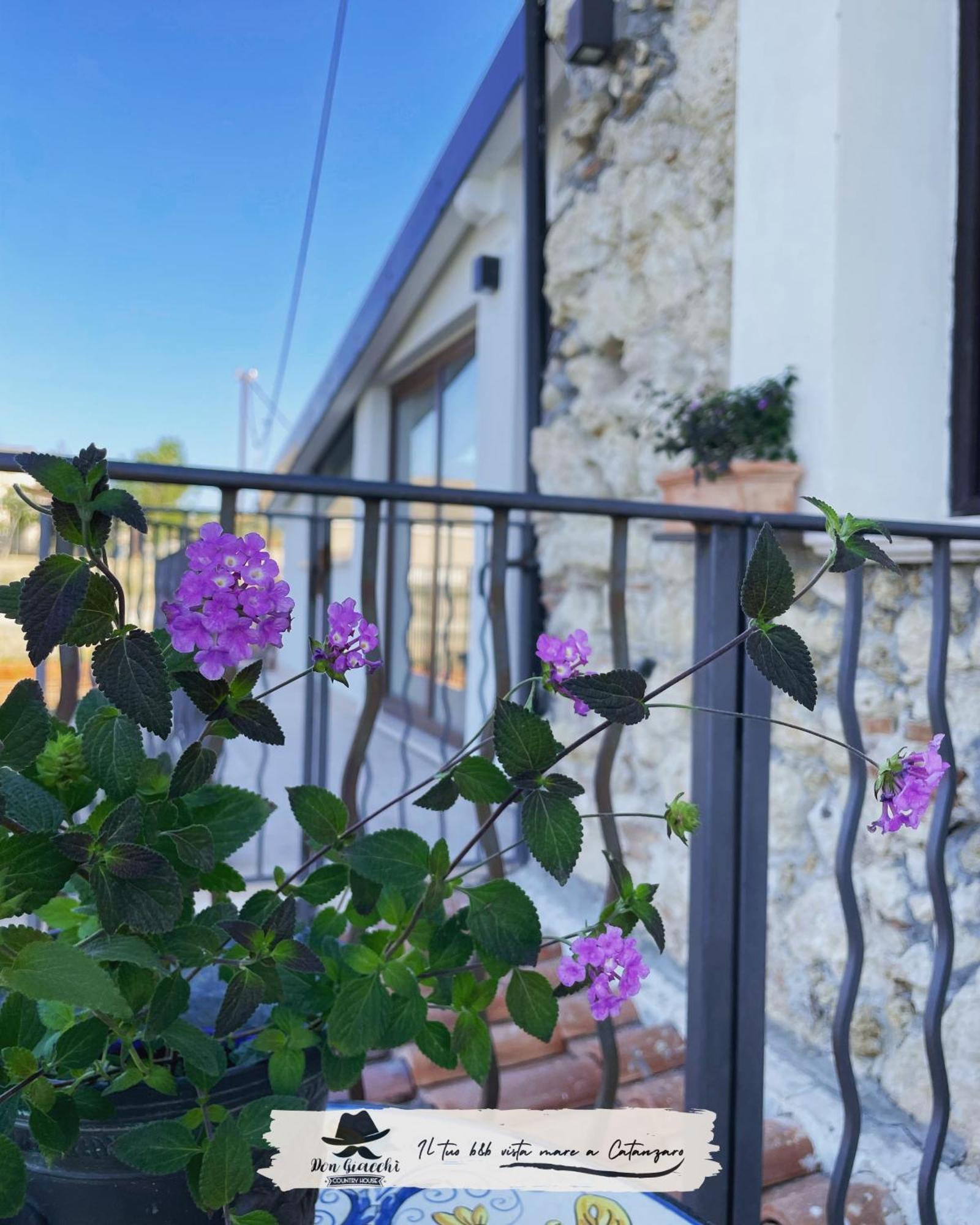 Don Giacchi Country House Catanzaro Extérieur photo