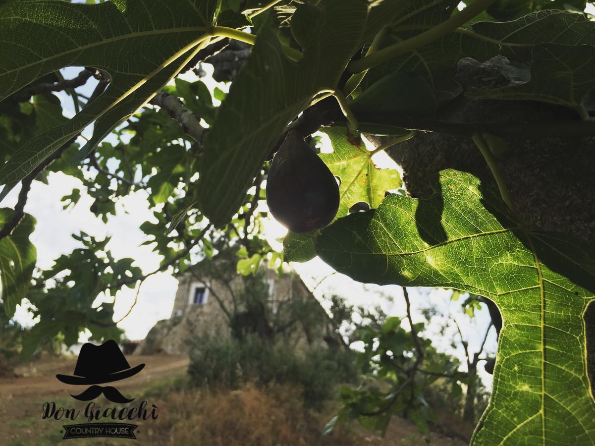 Don Giacchi Country House Catanzaro Extérieur photo